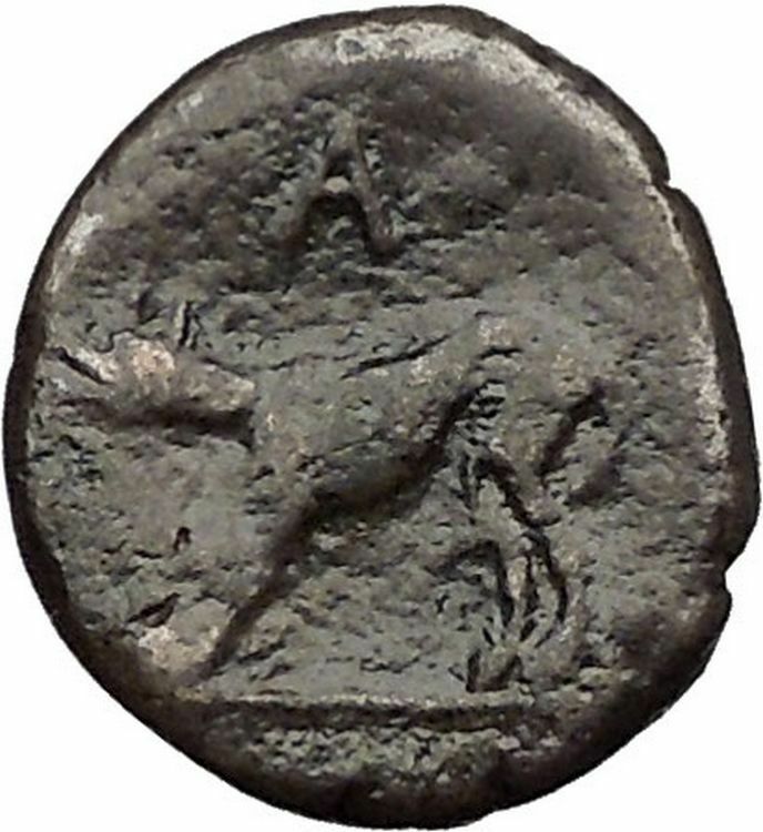 ARGOS in ARGOLIS 3-2CenBC Apollo Wolf RARE Authentic Ancient Greek Coin i56079