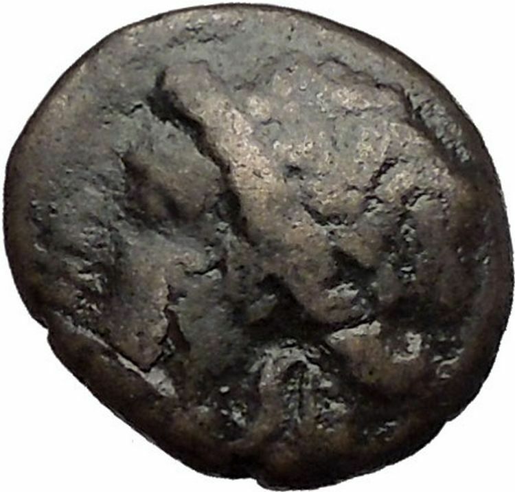 ARGOS in ARGOLIS 3-2CenBC Apollo Wolf RARE Authentic Ancient Greek Coin i56079