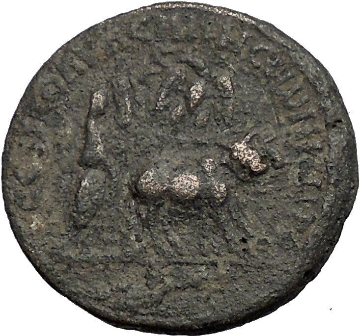 Trajan Decius 249AD Rhasaena Mesopotamia PRIEST PLOWING OXEN Roman Coin i56371