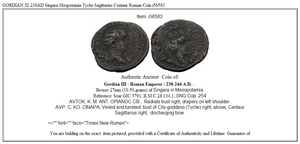 GORDIAN III 238AD Singara Mespotamia Tyche Sagittarius Centaur Roman Coin i56583