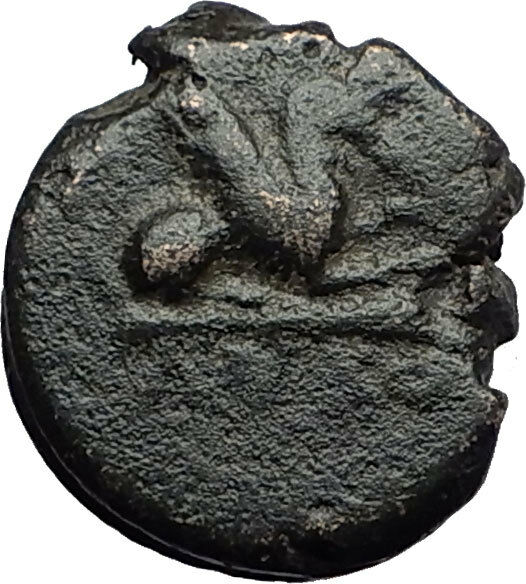 ABDERA THRACE - Genuine 345BC Apollo Griffin Authentic Ancient Greek Coin i60582