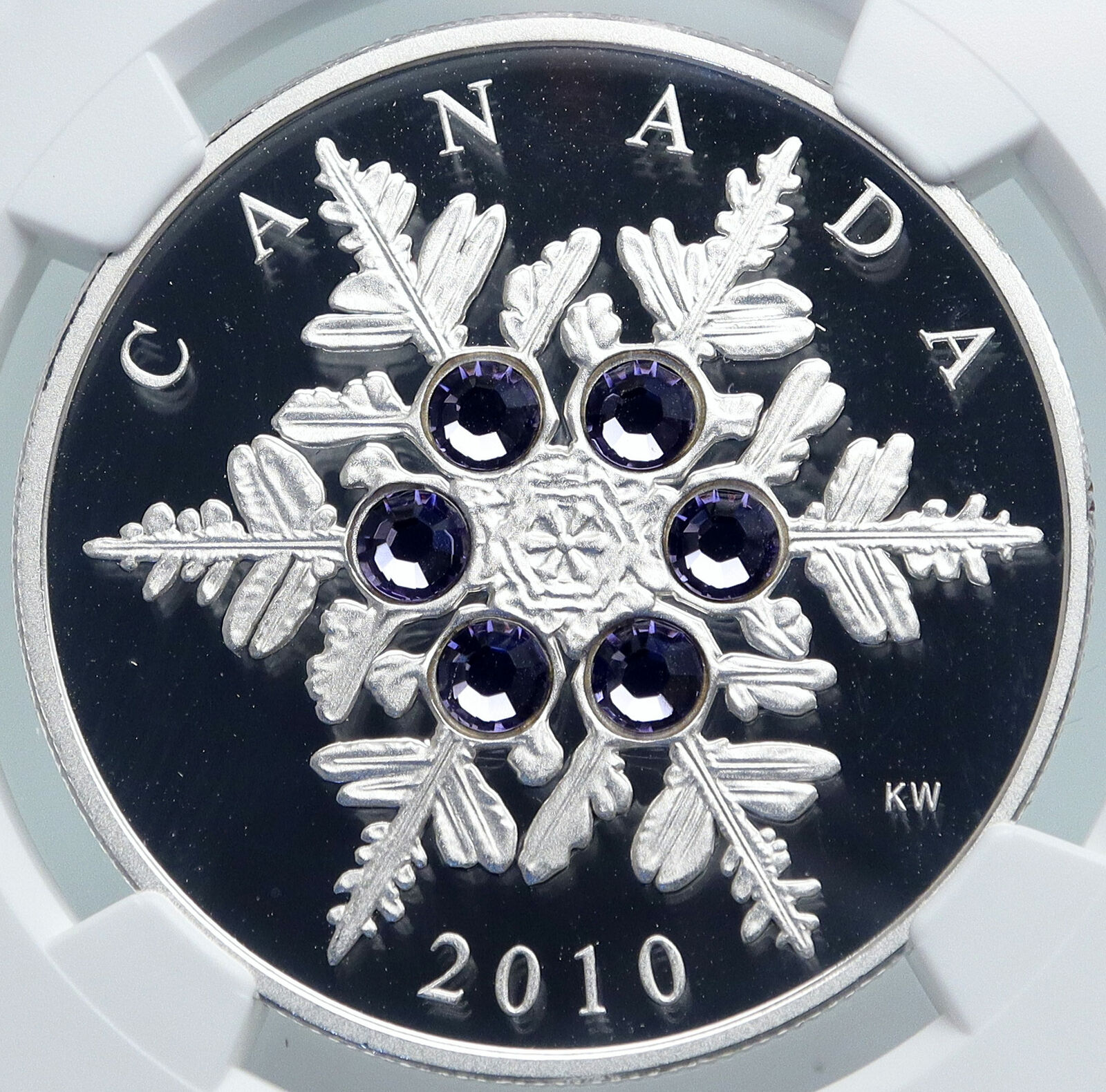 2010 CANADA Queen Elizabeth II Tanzanite SWAROVSKI GEM Silver 20 Coin NGC i87846