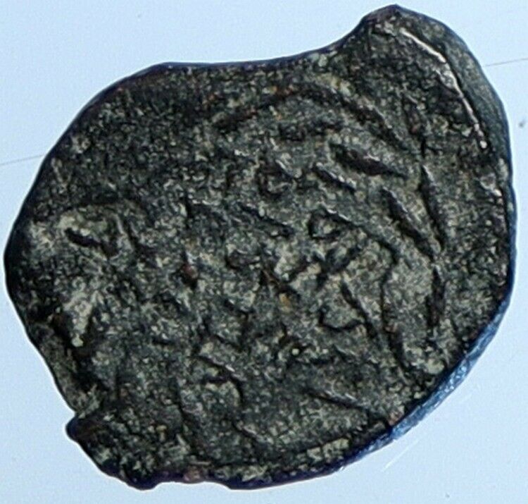 Salome Alexandra JOHN HYRCANUS II or ARISTOBULUS II Jewish Coin Hen 1159 i110524