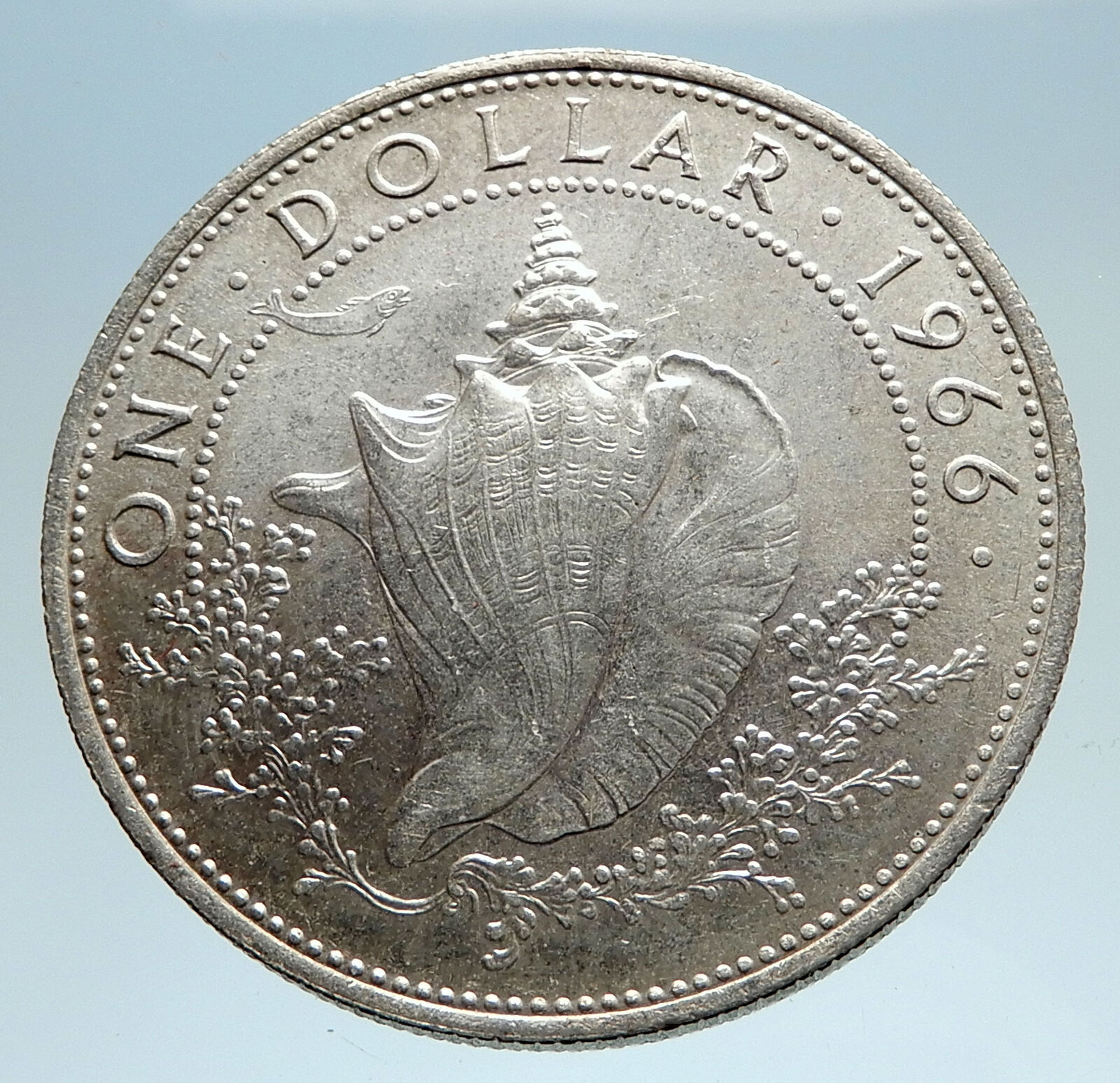 1966 BAHAMAS British Queen Elizabeth II w CONCH SHELL Silver Dollar Coin i75027