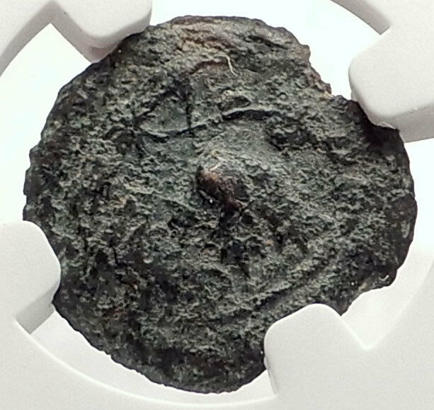 VALERIUS GRATUS Roman Jerusalem Prefect TIBERIUS LIVIA Biblical Coin NGC i70894