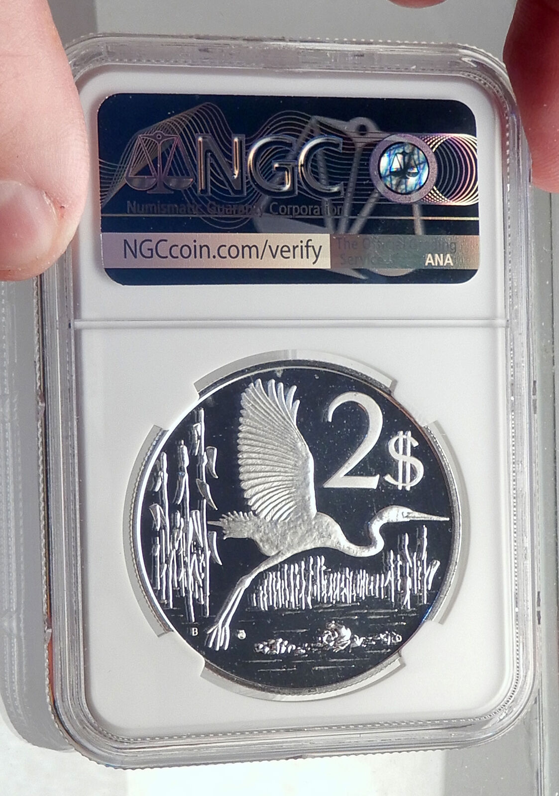 1974 CAYMAN ISLANDS 4.0cm Proof Silver $2 Coin GREAT BLUE HERON BIRD NGC i72156