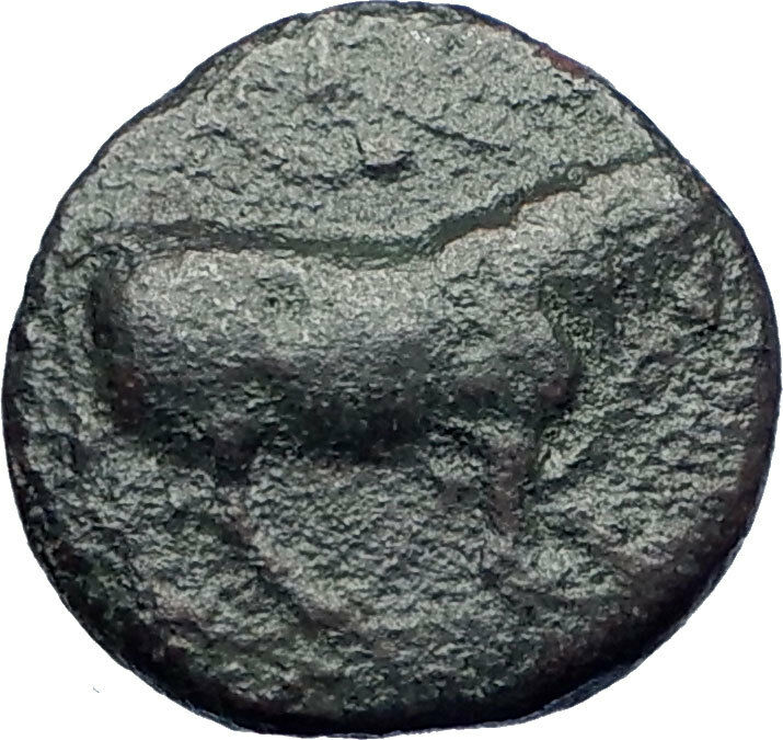 GELA Sicily 420BC Trias River God Gelas & Bull Ancient Greek Coin rare i73430