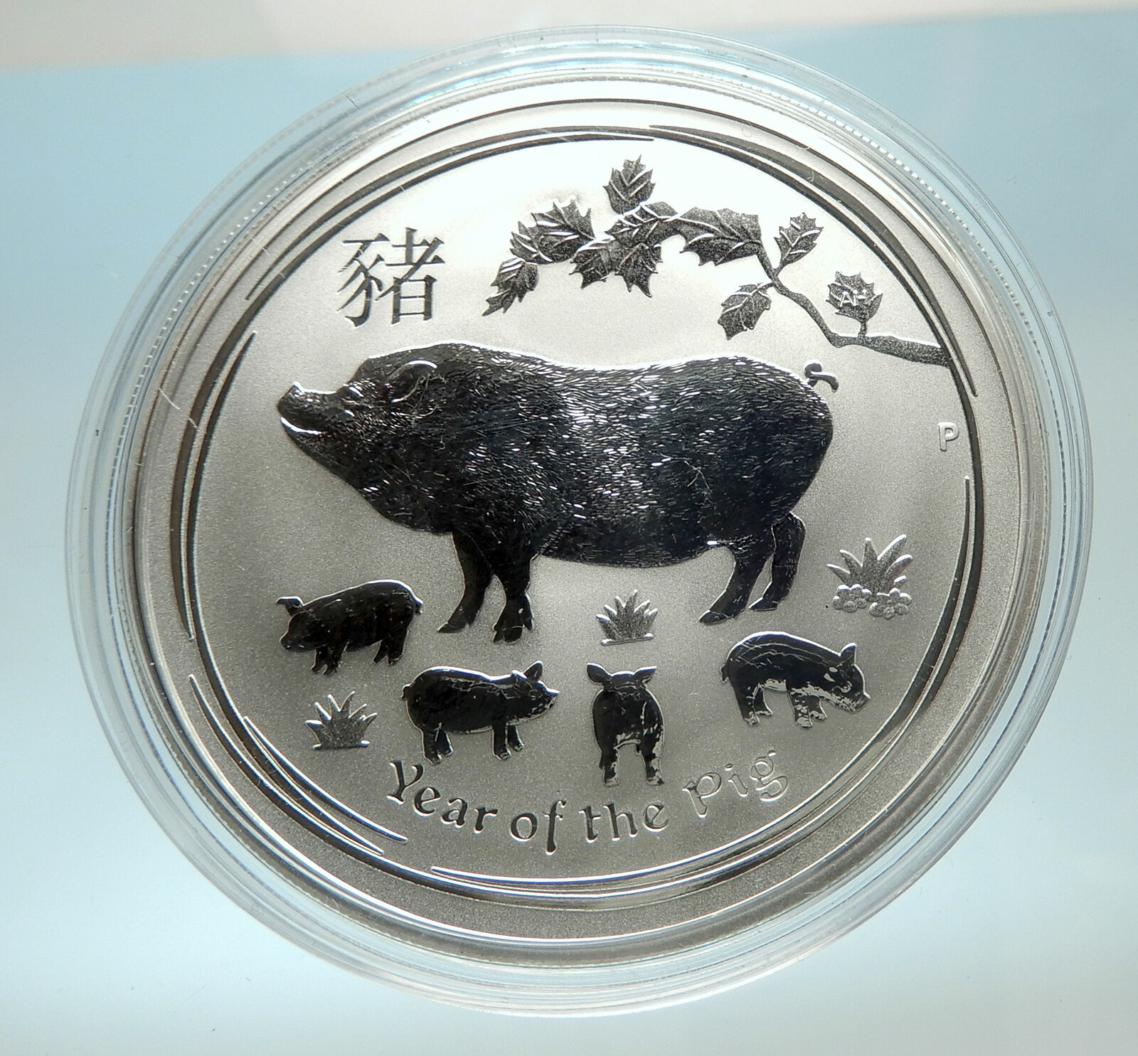 2019 AUSTRALIA Elizabeth II Chinese Zodiac Pig Year Genuine Silver Coin i76595