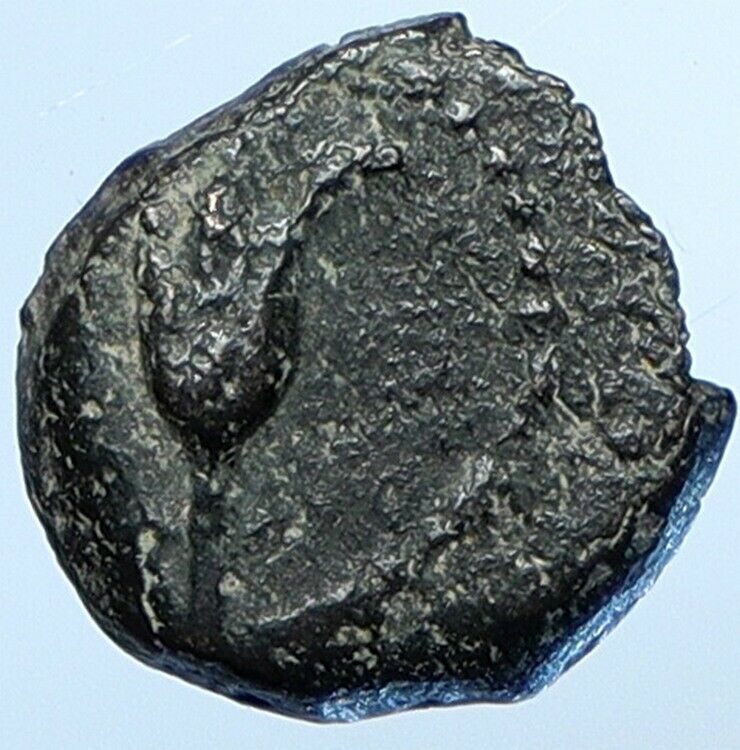 JOHN HYRCANUS & ANTIOCHUS VII in JEWISH Jerusalem Coin LILY Hendin 1131 i110706