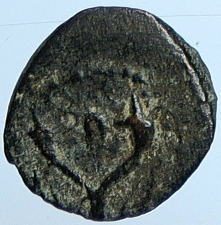 Salome Alexandra JOHN HYRCANUS II or ARISTOBULUS II Jewish Coin Hen 1159 i110716