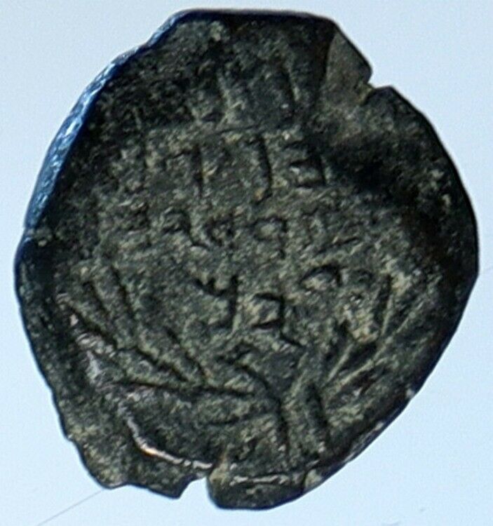 Salome Alexandra JOHN HYRCANUS II or ARISTOBULUS II Jewish Coin Hen 1159 i110726