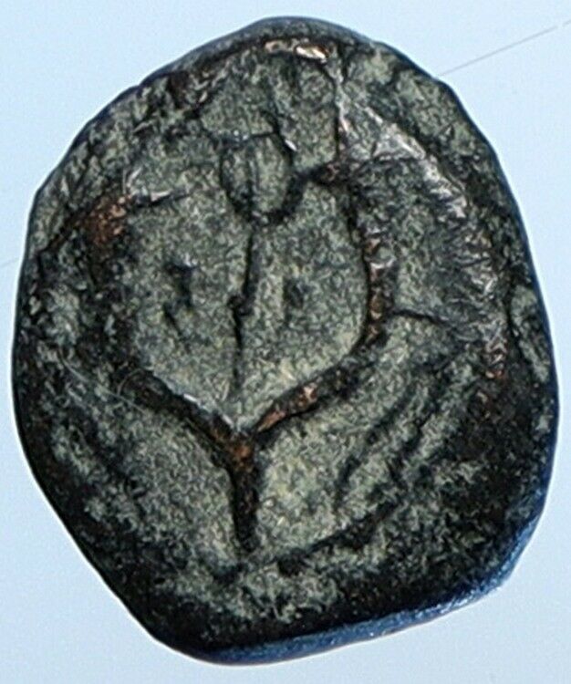 Salome Alexandra JOHN HYRCANUS II or ARISTOBULUS II Jewish Coin Hen 1159 i110727