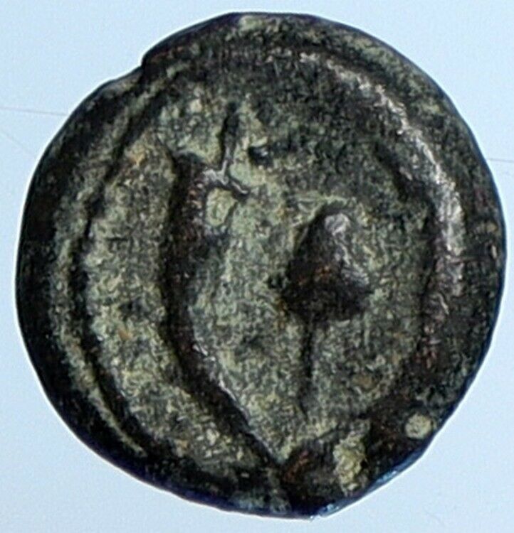 Salome Alexandra JOHN HYRCANUS II or ARISTOBULUS II Jewish Coin Hn 1159a i110730