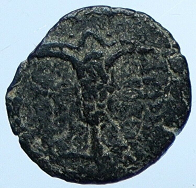 JOHN HYRCANUS & ANTIOCHUS VII in JEWISH Jerusalem Coin LILY Hendin 1131 i110714