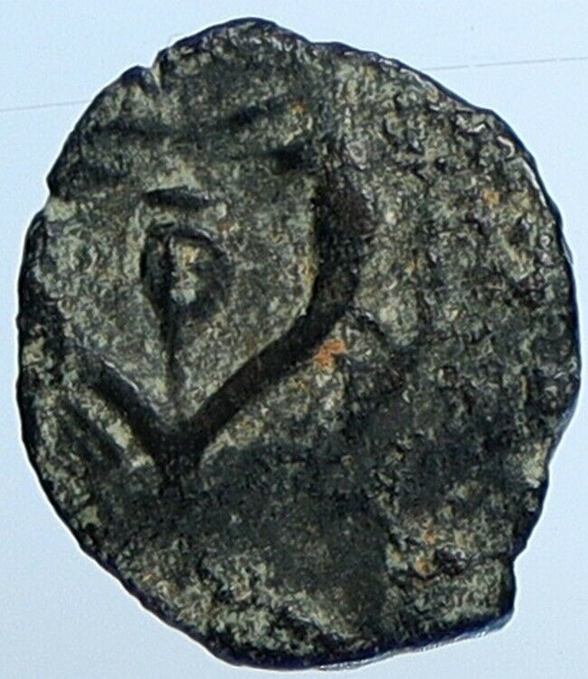 Salome Alexandra JOHN HYRCANUS II or ARISTOBULUS II Jewish Coin Hen 1159 i110721