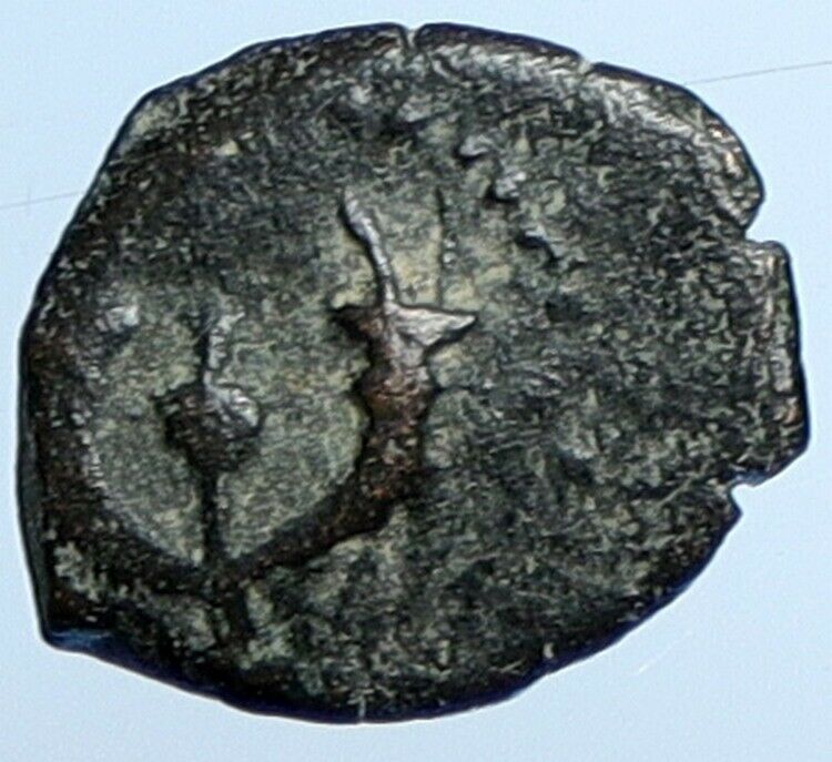 Salome Alexandra JOHN HYRCANUS II or ARISTOBULUS II Jewish Coin Hen 1159 i110723