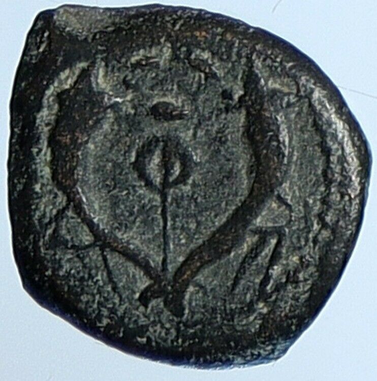 Salome Alexandra JOHN HYRCANUS II or ARISTOBULUS II Jewish Coin Hen 1159 i110735