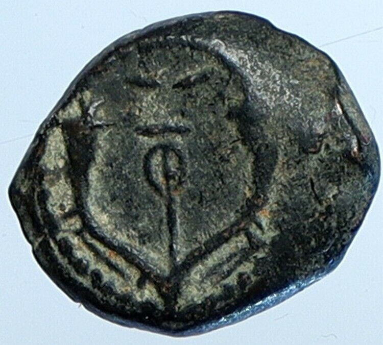 Salome Alexandra JOHN HYRCANUS II or ARISTOBULUS II Jewish Coin Hen 1159 i110737