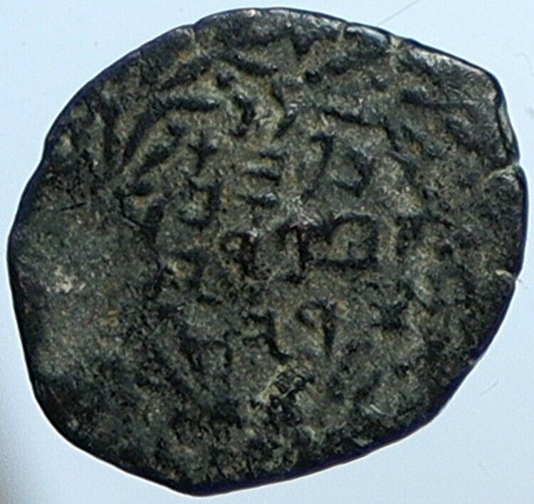 Salome Alexandra JOHN HYRCANUS II or ARISTOBULUS II Jewish Coin Hen 1159 i110737