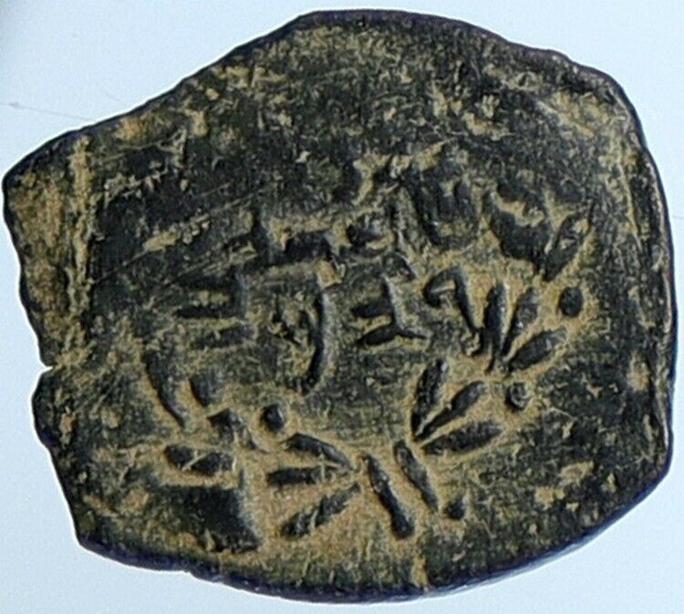 Salome Alexandra JOHN HYRCANUS II or ARISTOBULUS II Jewish Coin Hen 1159 i110738