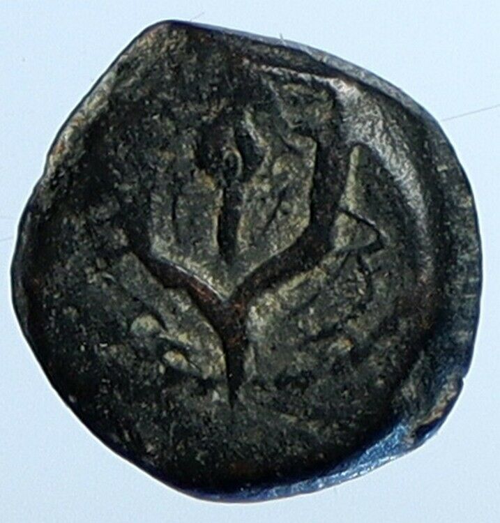 Salome Alexandra JOHN HYRCANUS II or ARISTOBULUS II Jewish Coin Hen 1159 i110736