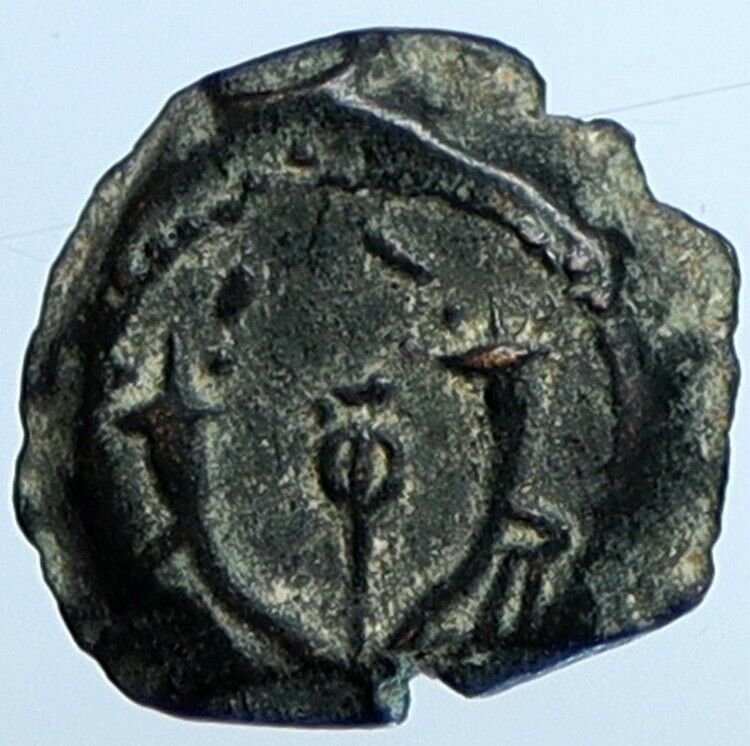 Salome Alexandra JOHN HYRCANUS II or ARISTOBULUS II Jewish Coin Hen 1159 i110729