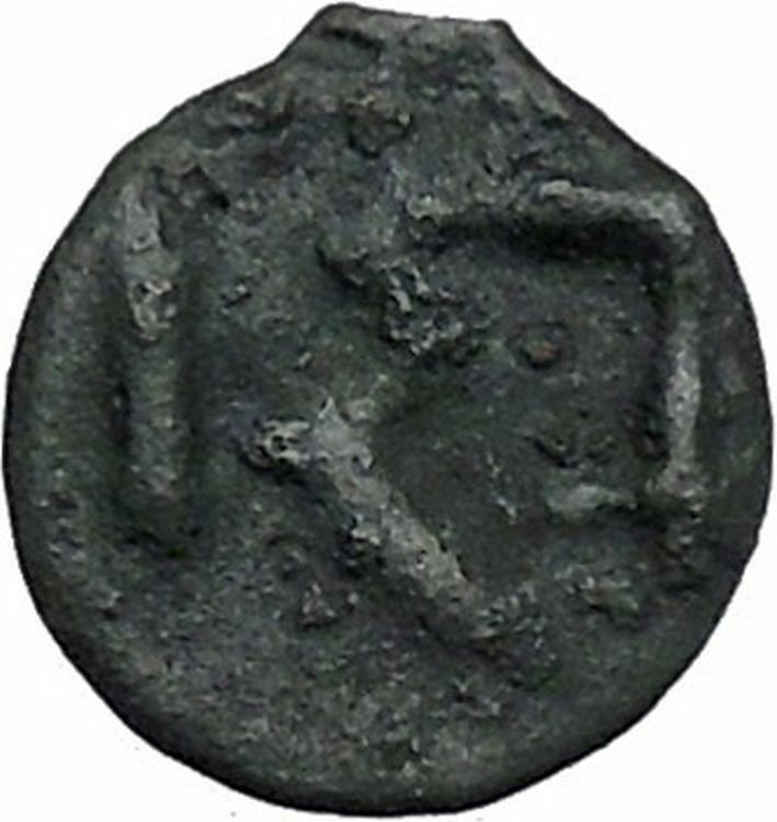 ISTROS Thrace 500BC Wheel Money Authentic Ancient Greek Coin BLACK SEA i46834