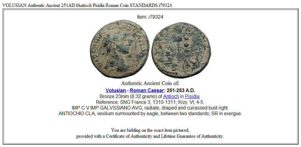 VOLUSIAN Authentic Ancient 251AD fAntioch Pisidia Roman Coin STANDARDS i79324