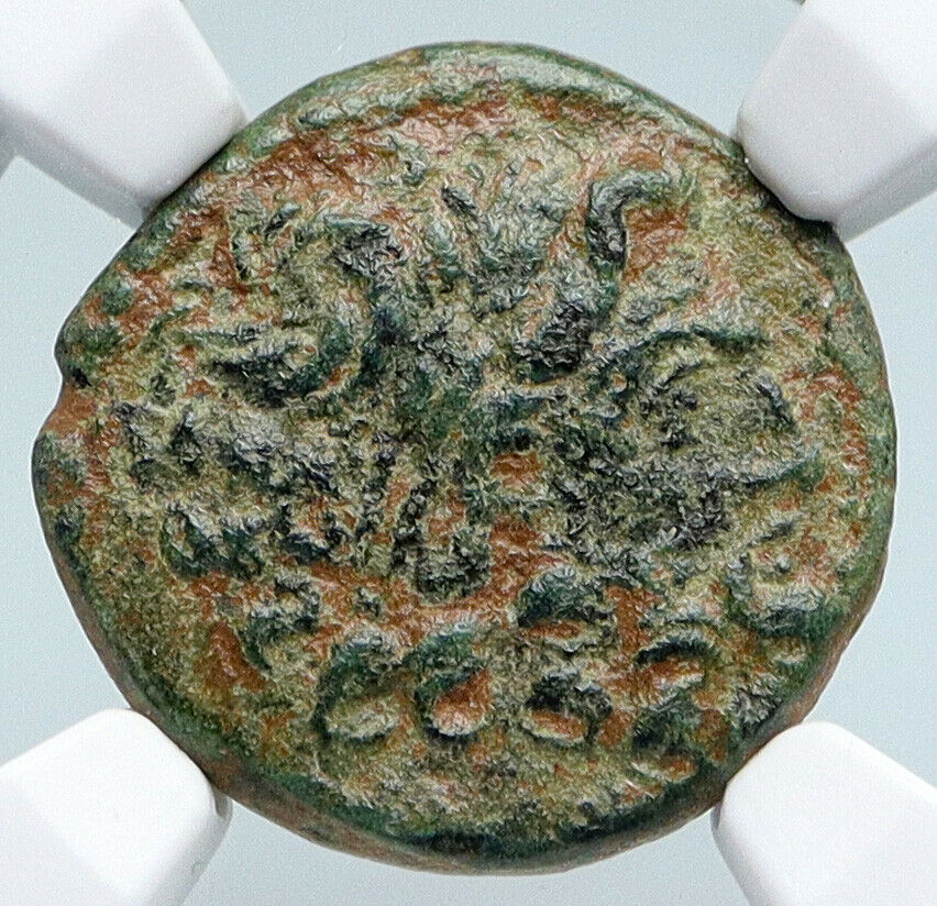 ANTIOCH in SELEUKIS and PIERIA Zeus Tripod Ancient Greek Coin RARE NGC i89574