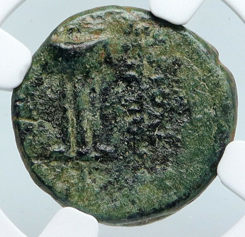 ANTIOCH in SELEUKIS and PIERIA Zeus Tripod Ancient Greek Coin RARE NGC i89574