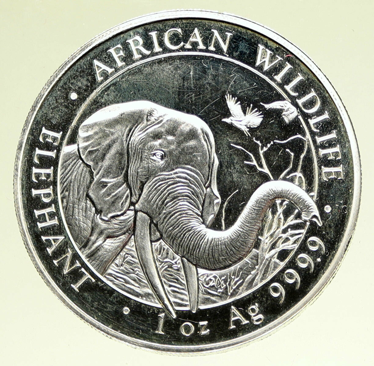 2018 SOMALI REPUBLIC SOMALIA Elephant African Wildlife Silver 100Shl Coin i95169