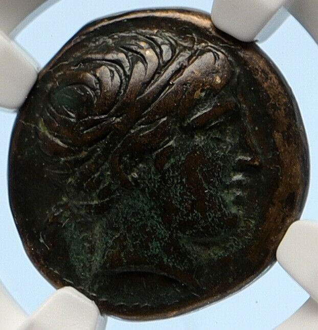 MACEDONIA of Philip II Ancient OLD Greek Coin Apollo OLYMPIC Horse NGC i95642