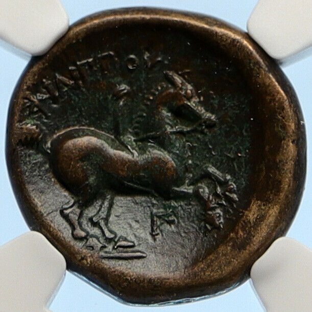 MACEDONIA of Philip II Ancient OLD Greek Coin Apollo OLYMPIC Horse NGC i95642