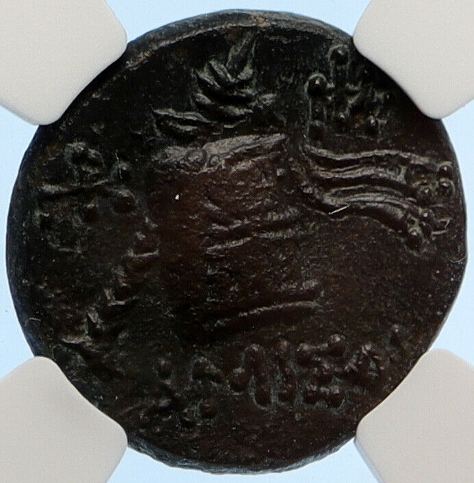 AMISOS PONTUS 100BC Mithradates VI Time Ancient Greek Coin DIONYSUS NGC i95632