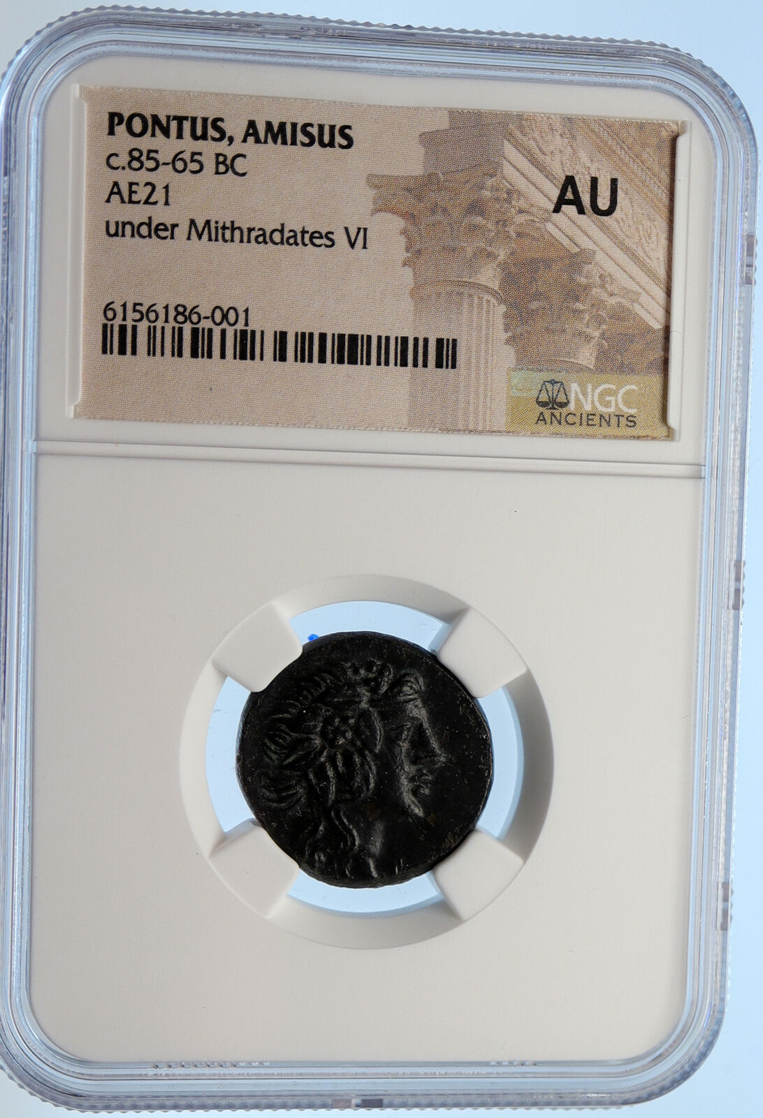 AMISOS PONTUS 100BC Mithradates VI Time Ancient Greek Coin DIONYSUS NGC i95632