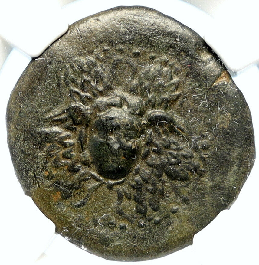 SOLOI in CILICIA Authentic Ancient 100BC Silver Greek Coin APHRODITE NGC i94458