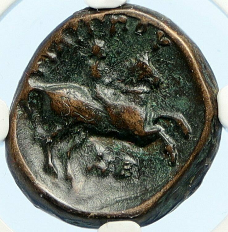 MACEDONIA of Philip II Ancient OLD Greek Coin Apollo OLYMPIC Horse NGC i94459