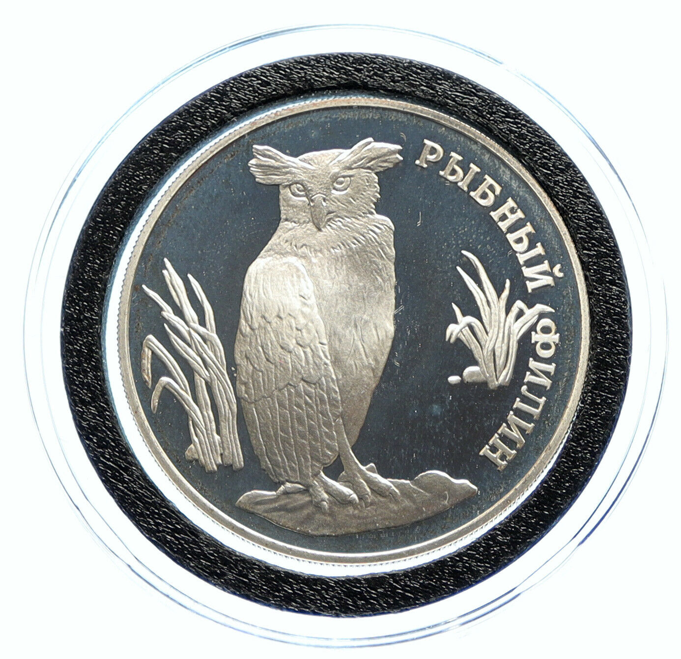 1993 RUSSIA Red Book - Fish Eagle-Owl BIRD OLD Proof Silver Ruble Coin i96344