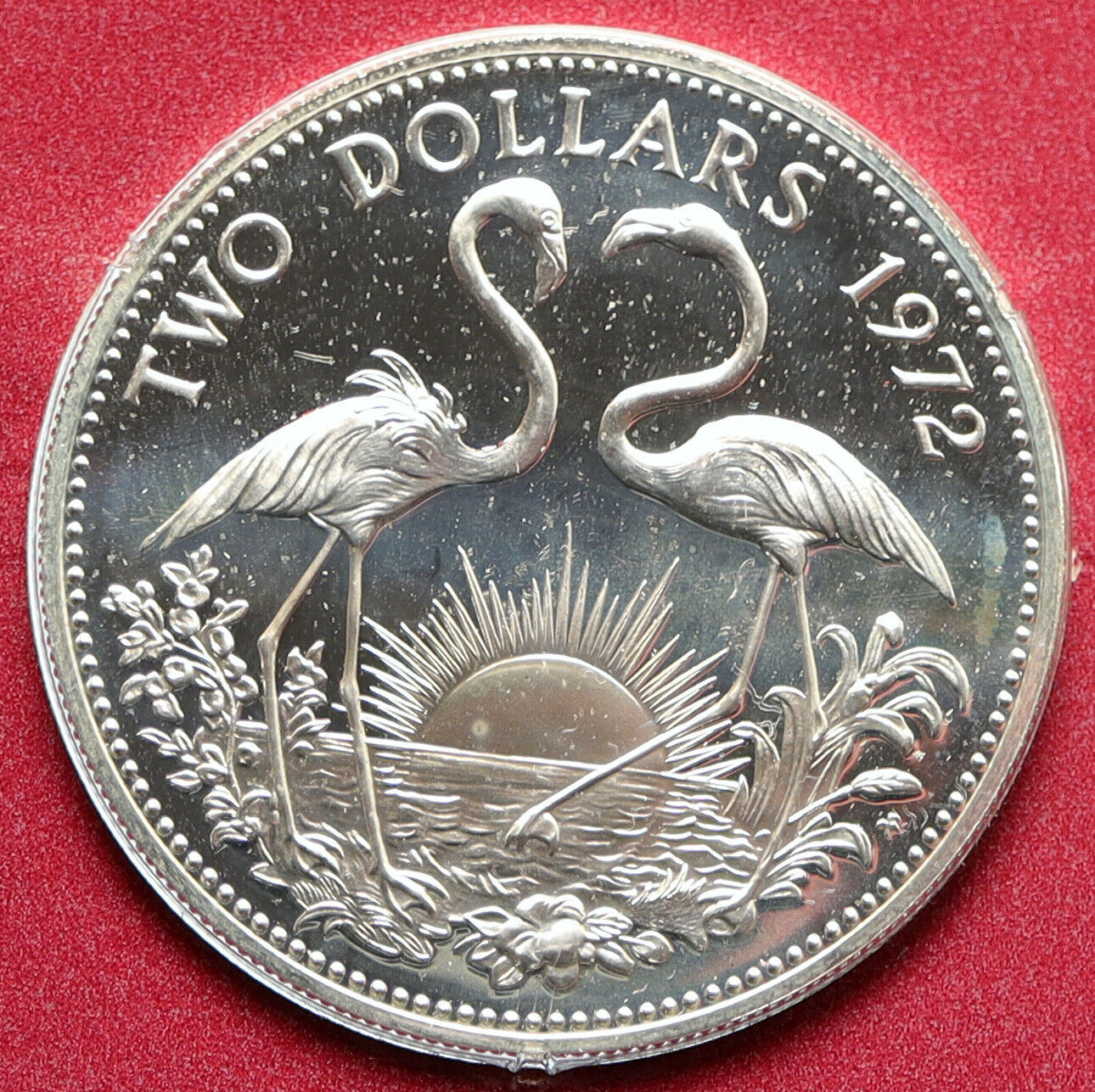 1972 The BAHAMAS Elizabeth II FLAMINGO Birds PROOF SILVER 2 Dollars Coin i95783