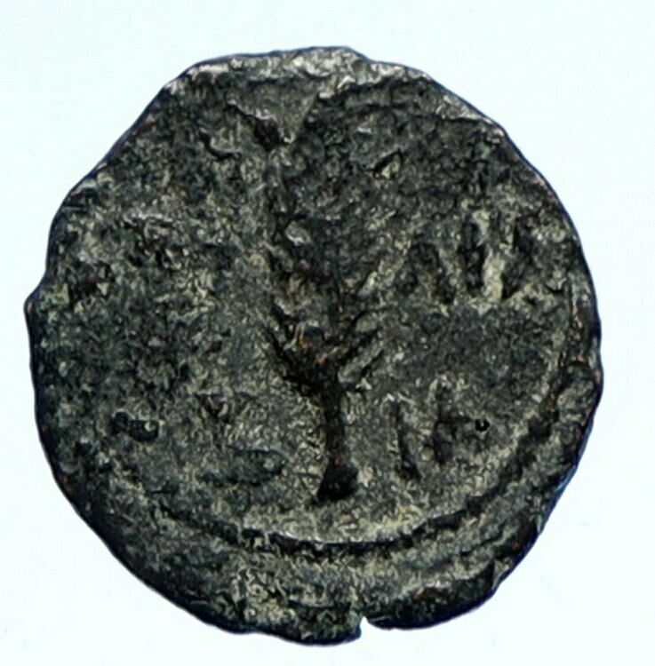 VALERIUS GRATUS Roman Jerusalem Prefect TIBERIUS LIVIA Old Biblical Coin i96042