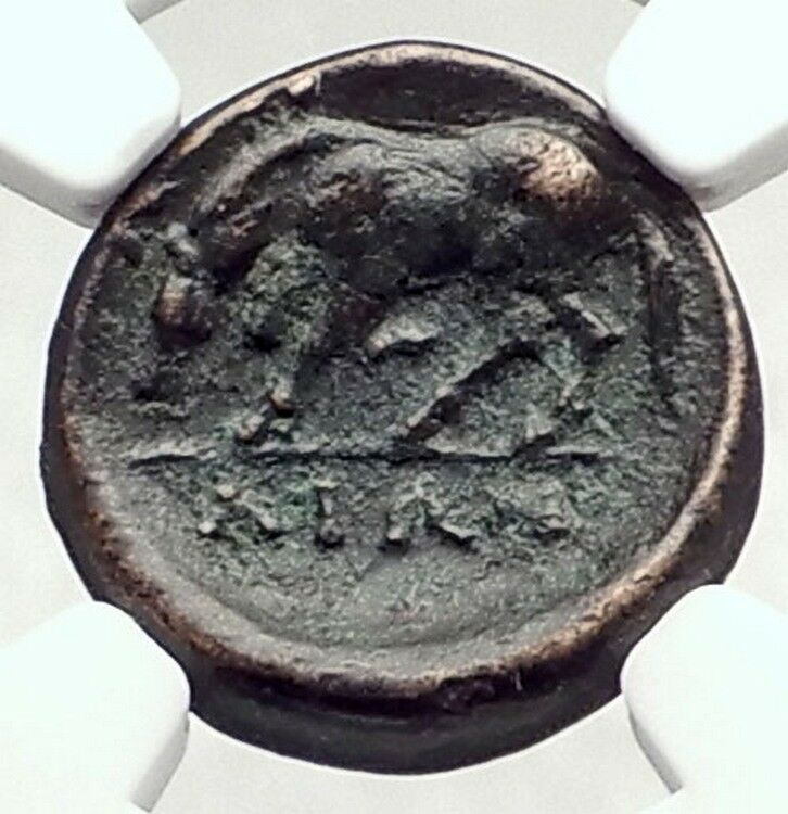 LARISSA in THESSALY 350BC Nymph & Horse Authentic Ancient Greek Coin NGC i72842