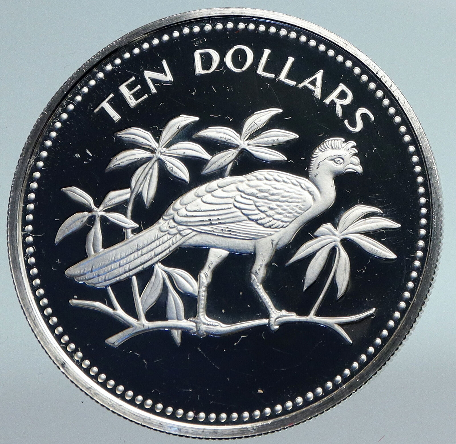 1974 BELIZE Avifauna Scarlet Macaw BIRD Old VINTAGE Proof Silver $10 Coin i89773