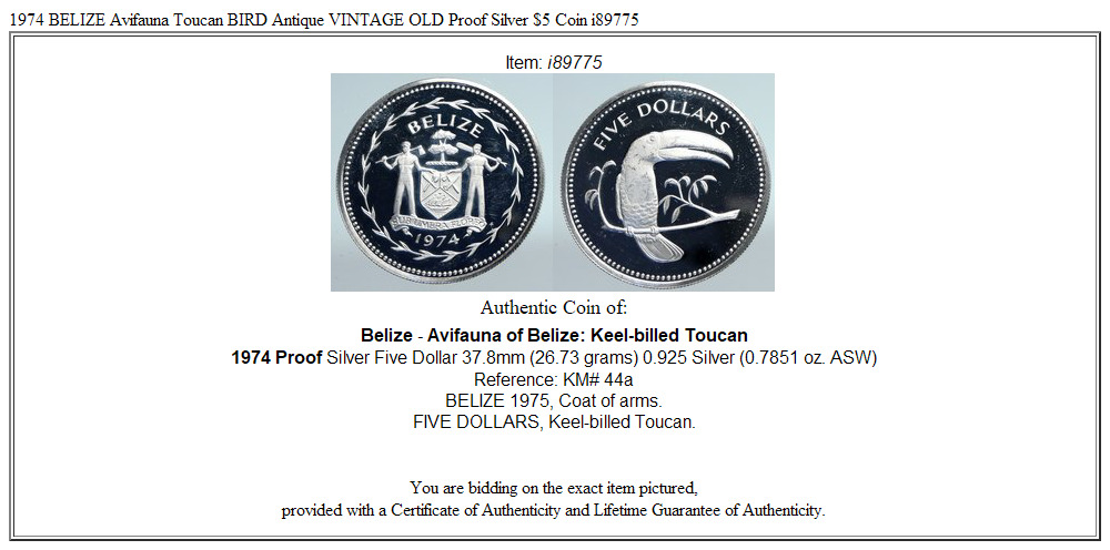 1974 BELIZE Avifauna Toucan BIRD Antique VINTAGE OLD Proof Silver $5 Coin i89775