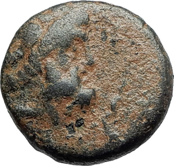 ARADOS in PHOENICIA Authentic Ancient 206BC Greek Coin w ZEUS & GALLEY i75495