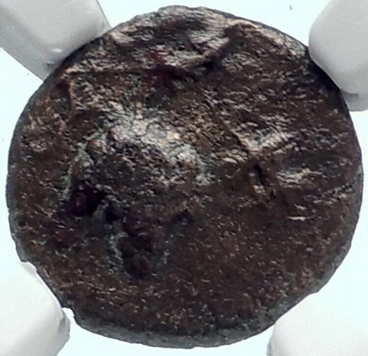 DIONYSOPOLIS in Moesia Authentic Ancient 2-1CenBC Greek Coin GRAPES NGC i81900