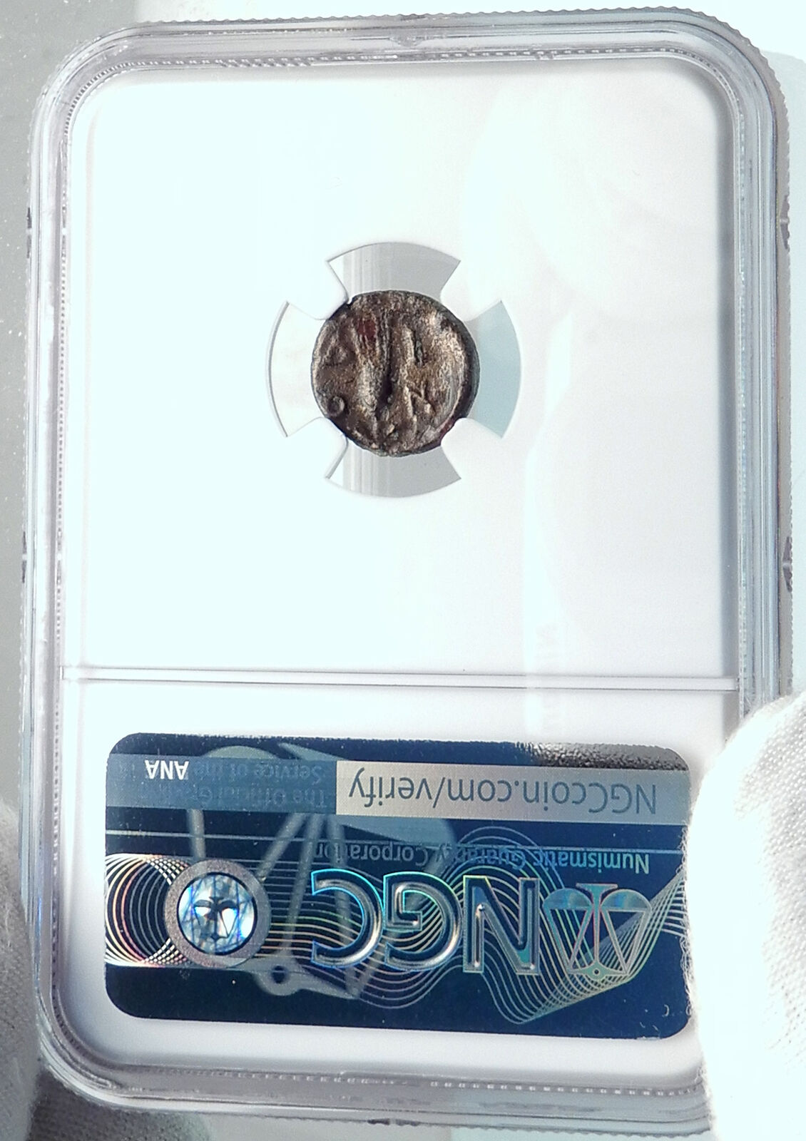 DIONYSOPOLIS in Moesia Authentic Ancient 2-1CenBC Greek Coin GRAPES NGC i81900