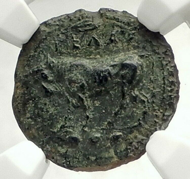 GELA in SICILY Authentic Ancient 420BC Greek Coin w BULL & GELAS NGC i76853