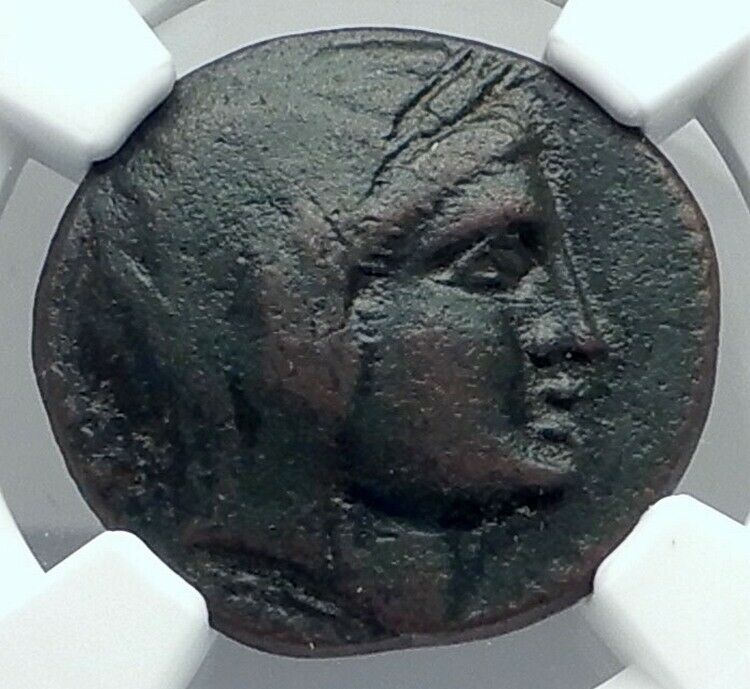 PETELIA in BRUTTIUM a Roman Ally in 2nd Punic War Ancient Greek Coin NGC i77874