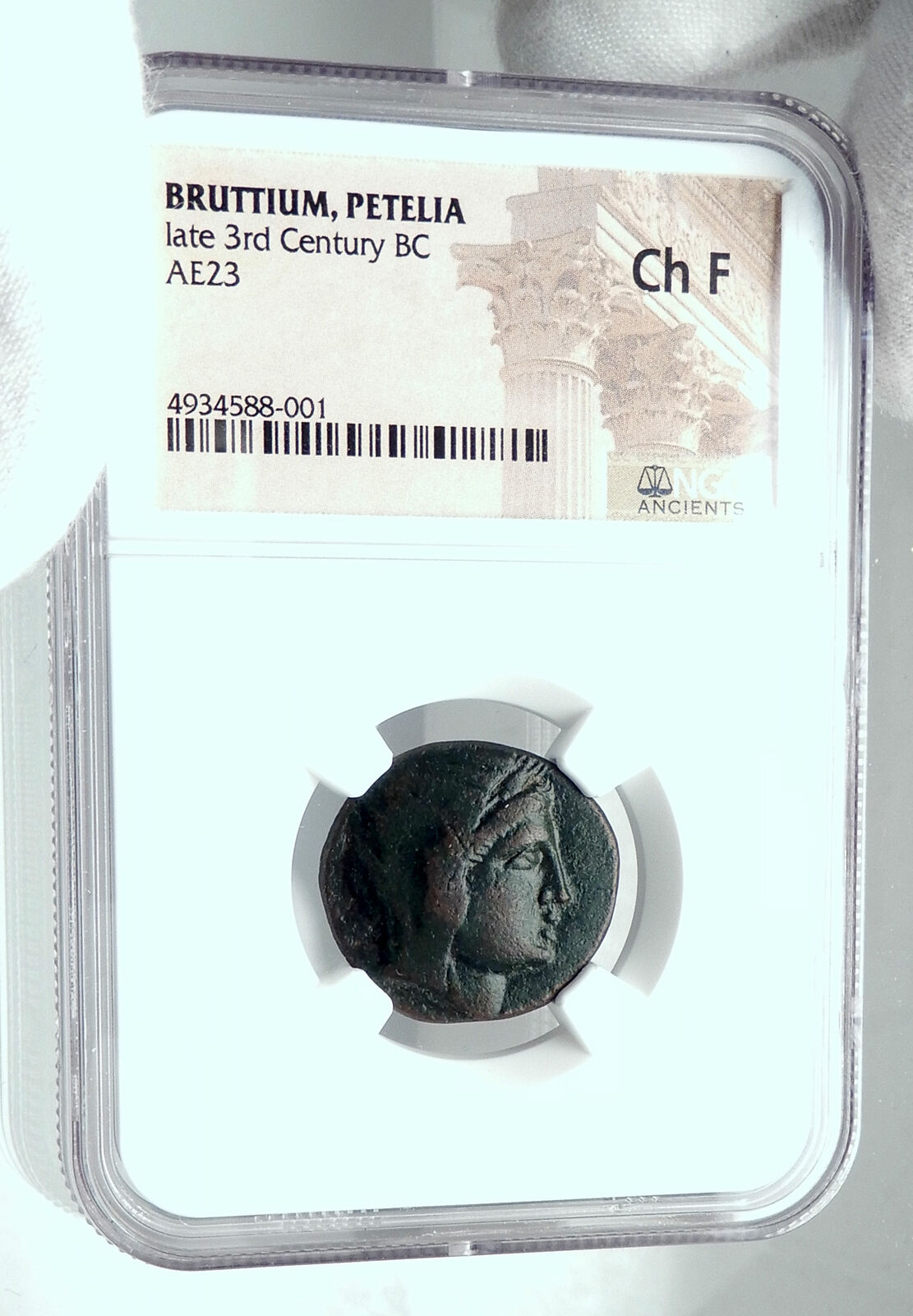 PETELIA in BRUTTIUM a Roman Ally in 2nd Punic War Ancient Greek Coin NGC i77874