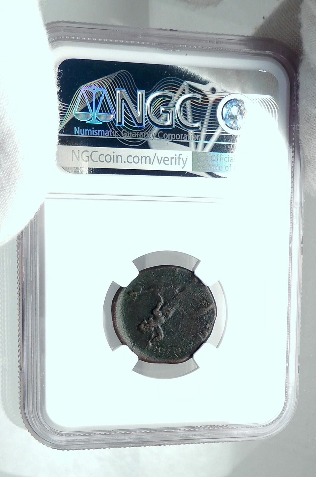 PETELIA in BRUTTIUM a Roman Ally in 2nd Punic War Ancient Greek Coin NGC i77874